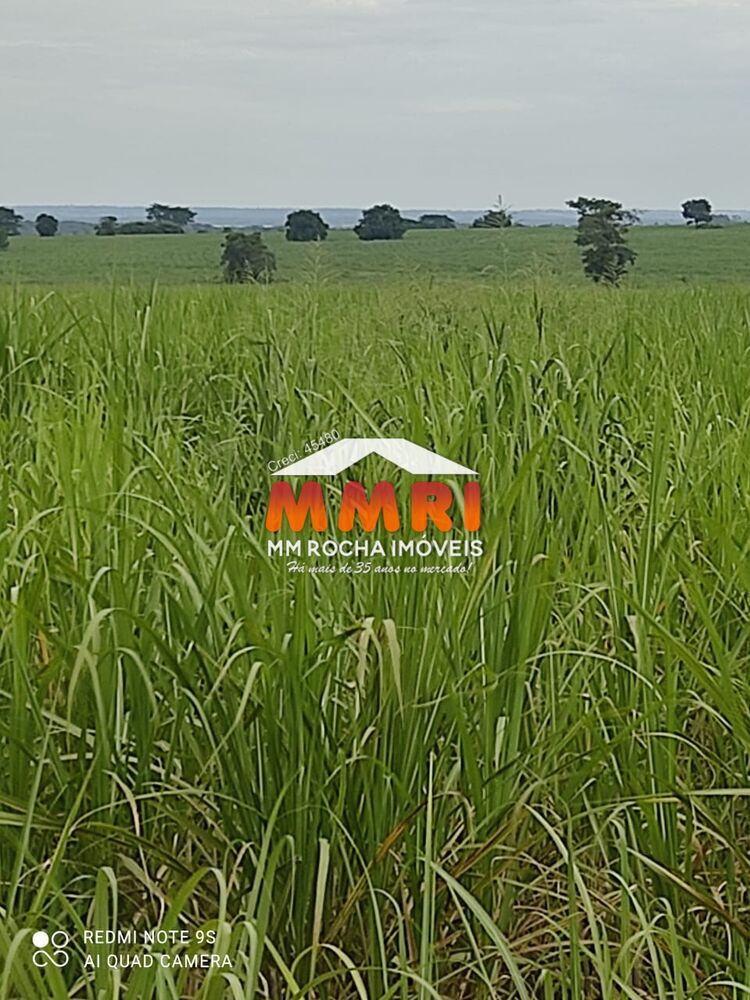 Fazenda à venda com 1 quarto, 474m² - Foto 4
