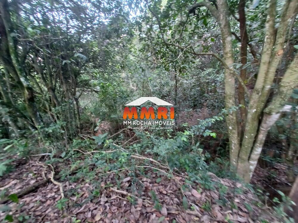 Haras e Área Rural Padrão à venda, 55000m² - Foto 2