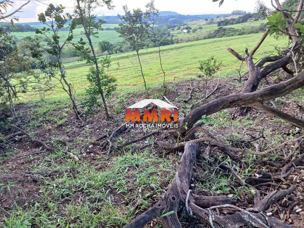 Haras e Área Rural Padrão à venda, 55000m² - Foto 11