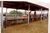 Fazenda, 2 hectares - Foto 4