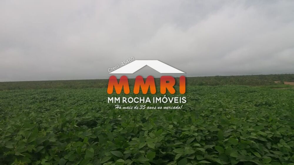 Fazenda, 7 hectares - Foto 3