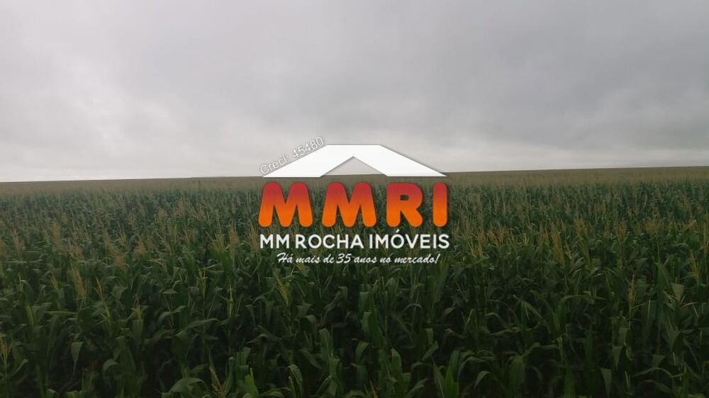 Fazenda, 7 hectares - Foto 5