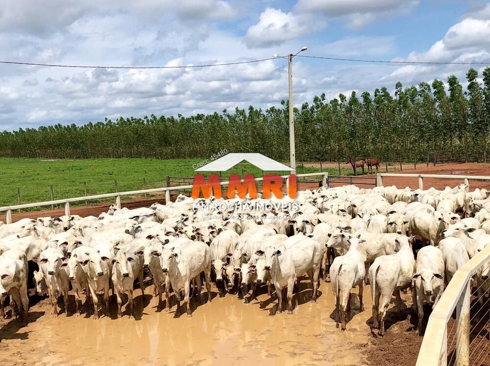 Fazenda, 7 hectares - Foto 1