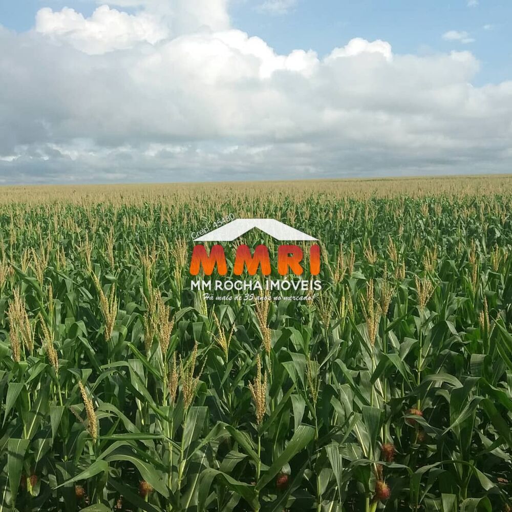 Fazenda, 7 hectares - Foto 4