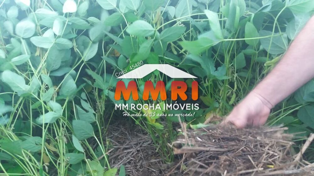 Fazenda, 7 hectares - Foto 8