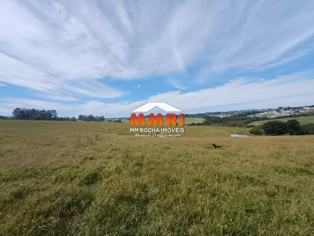 Haras e Área Rural Padrão à venda, 162000m² - Foto 8