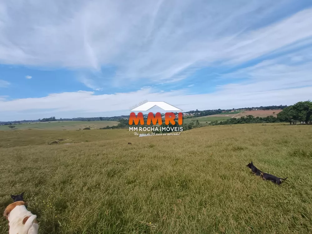 Haras e Área Rural Padrão à venda, 162000m² - Foto 7