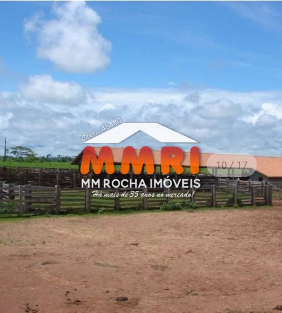 Fazenda, 15 hectares - Foto 4