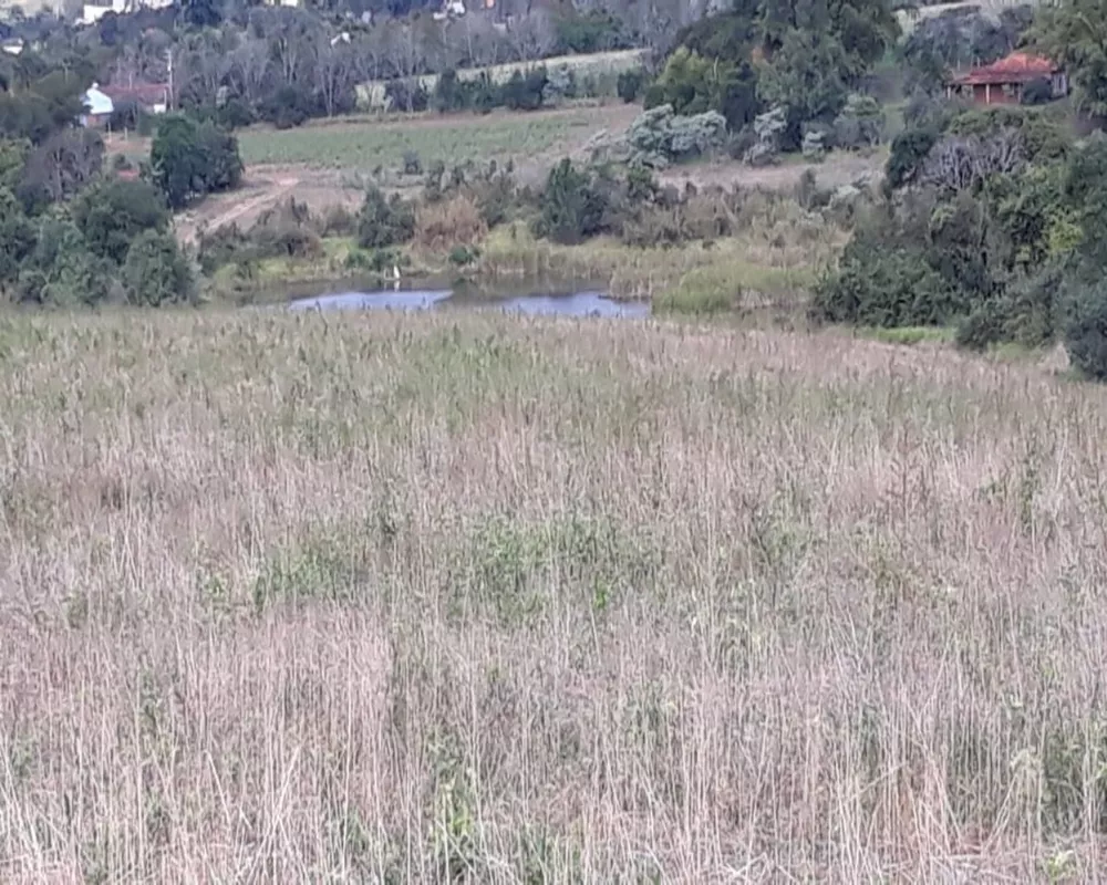 Terreno, 174 hectares - Foto 24