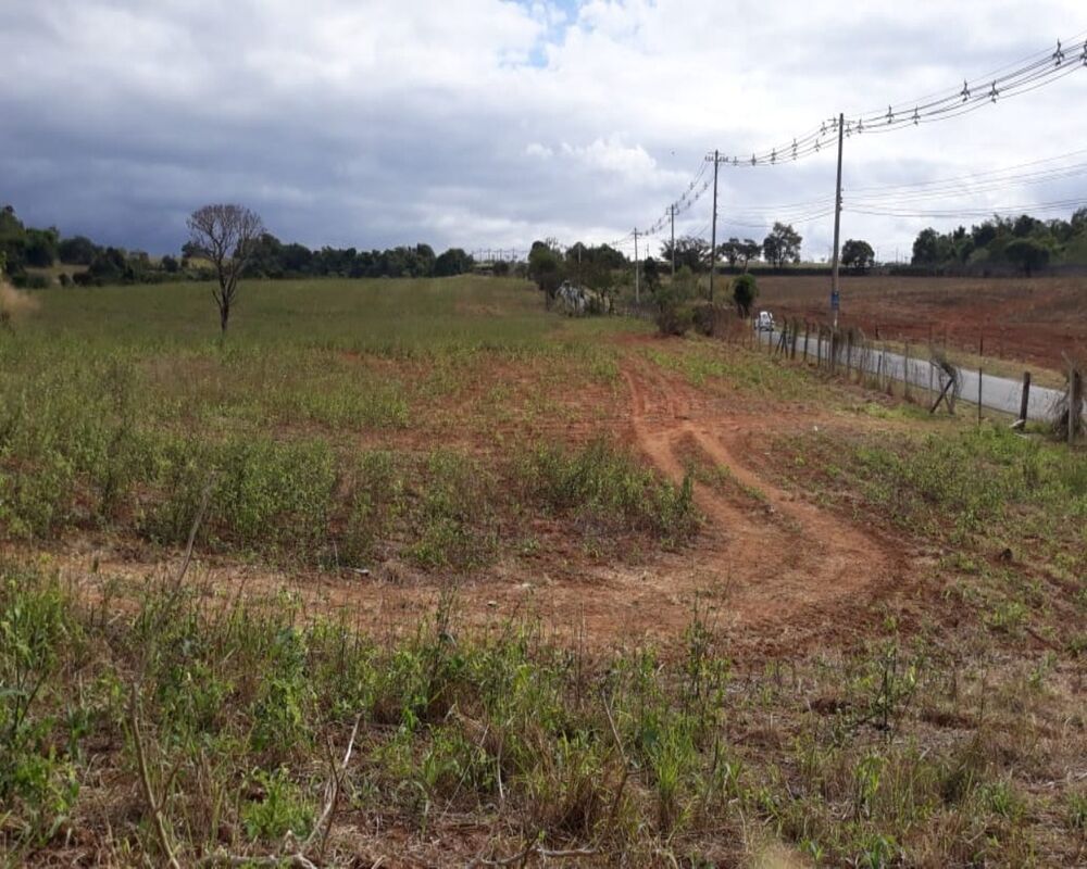 Terreno, 174 hectares - Foto 4