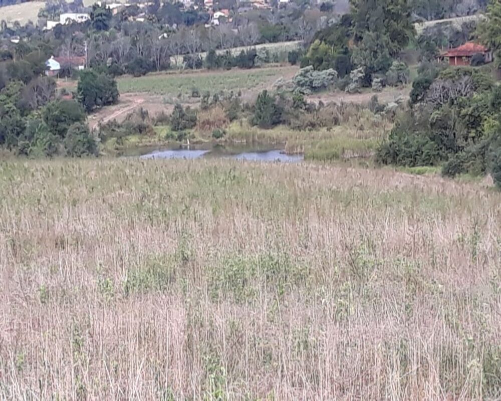 Terreno, 174 hectares - Foto 2