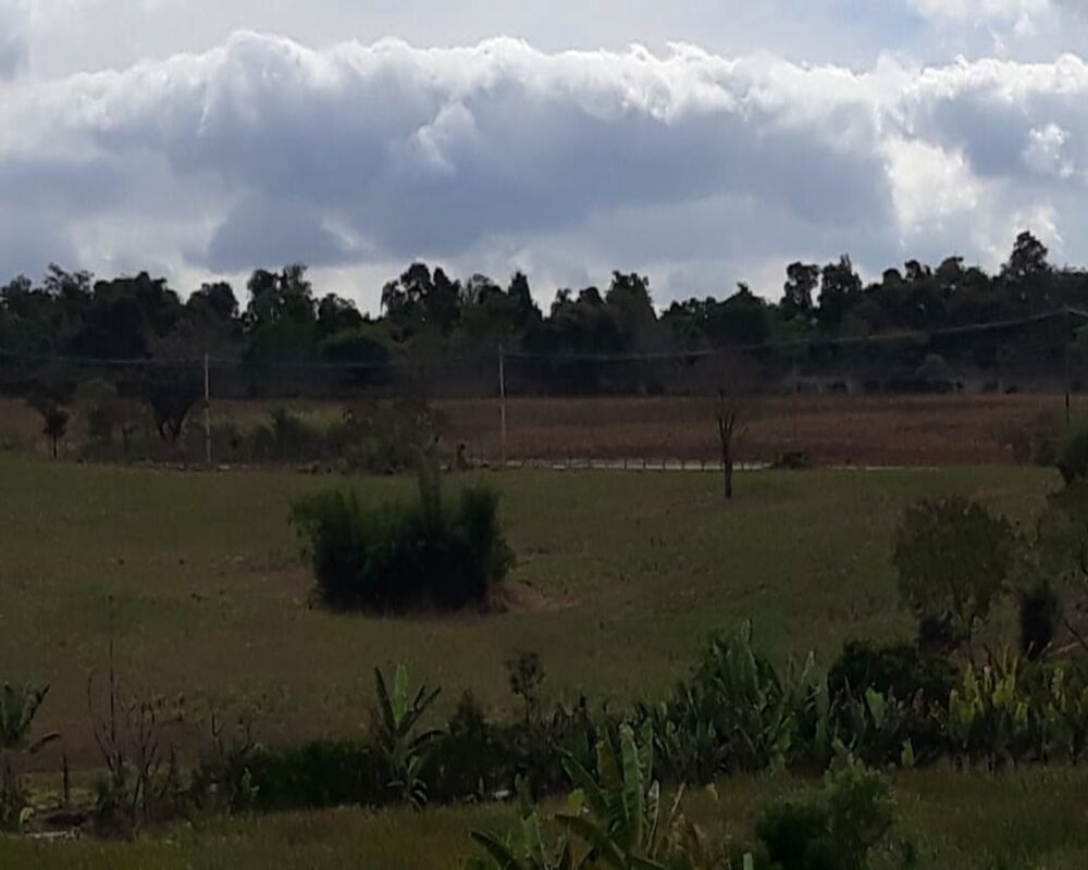 Terreno, 174 hectares - Foto 12