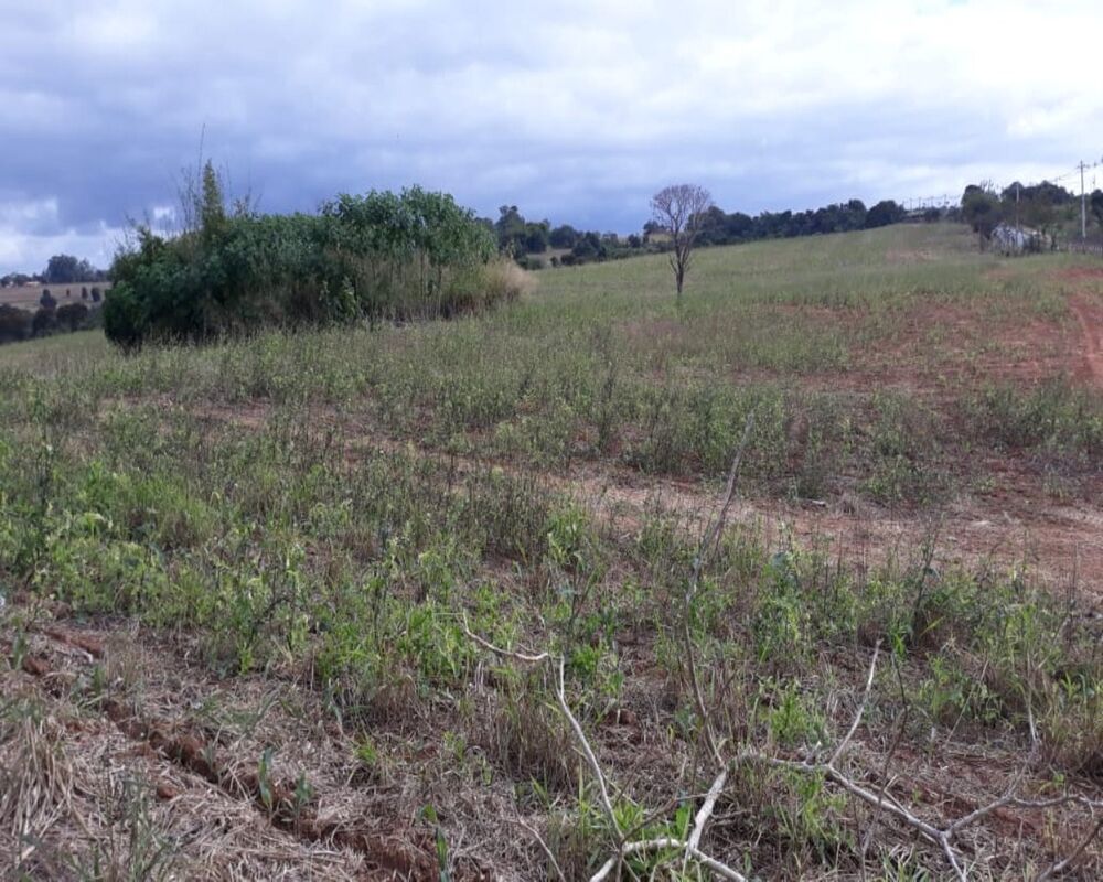 Terreno, 174 hectares - Foto 7