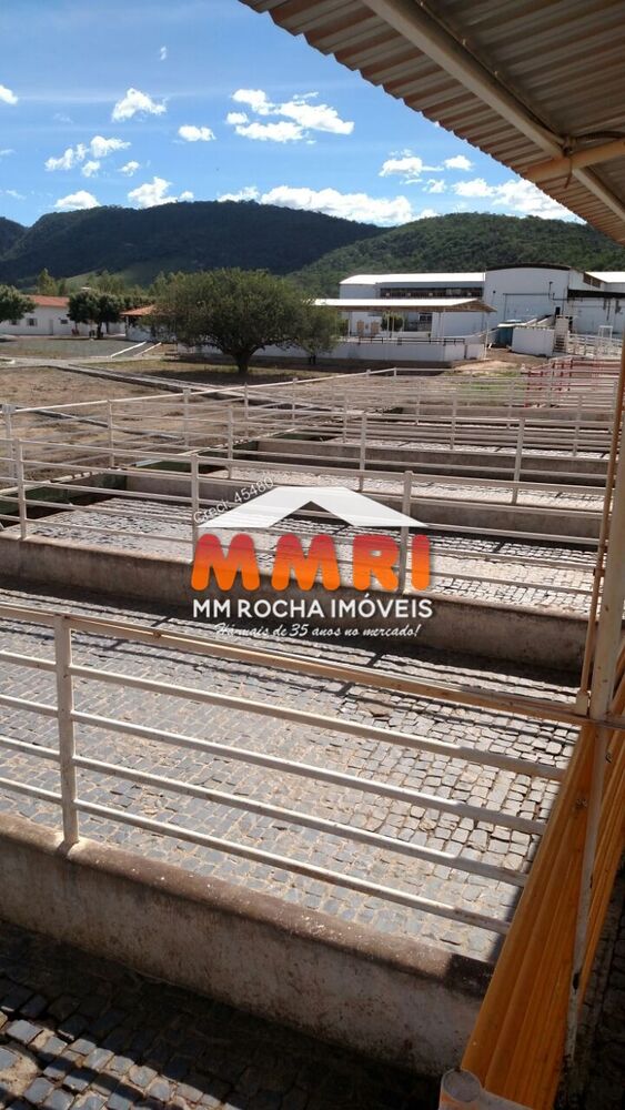 Fazenda, 7 hectares - Foto 9