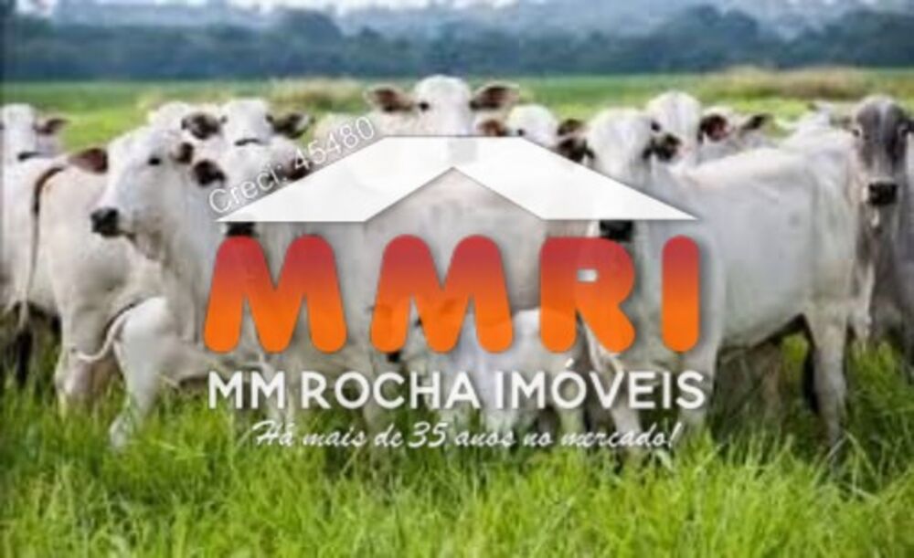Fazenda, 7 hectares - Foto 1