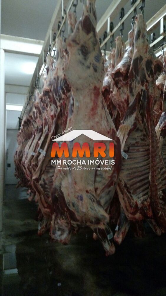 Fazenda, 7 hectares - Foto 8