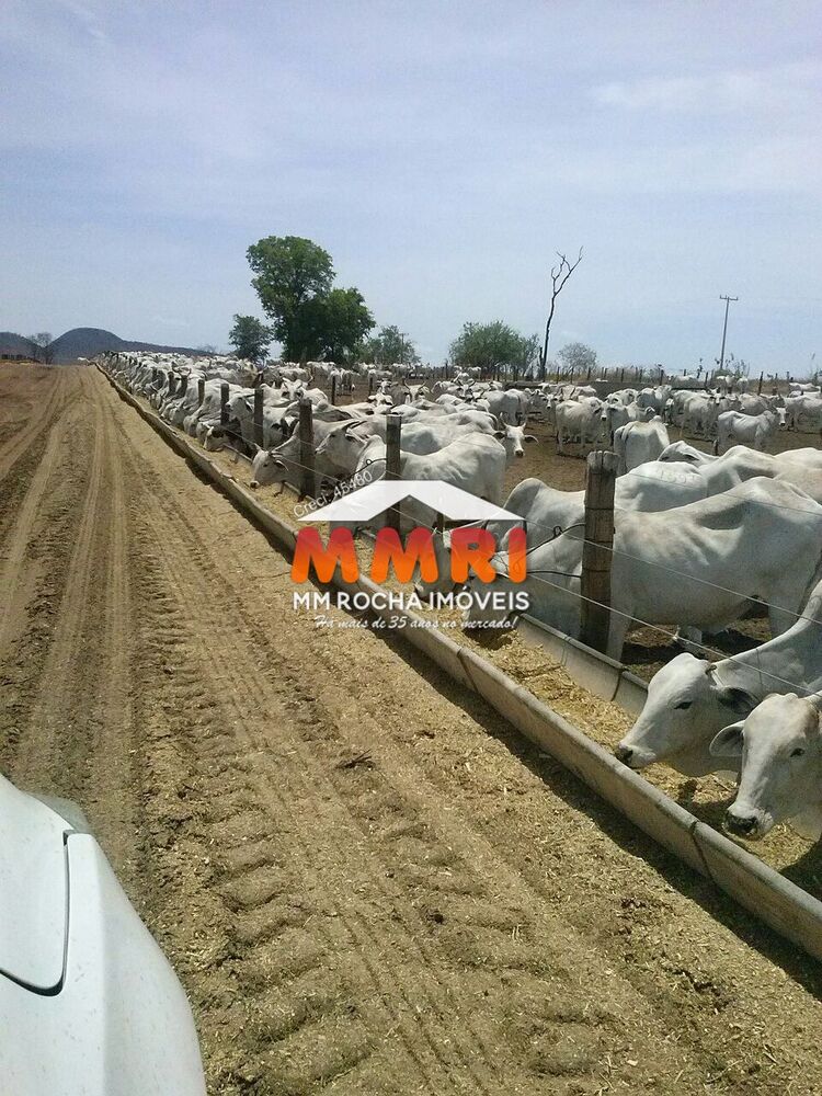 Fazenda, 7 hectares - Foto 7