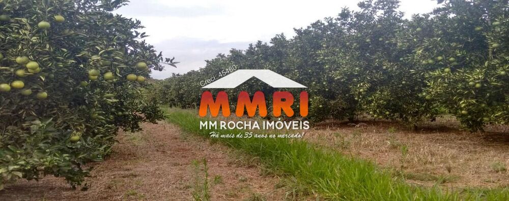 Fazenda, 365 m² - Foto 2