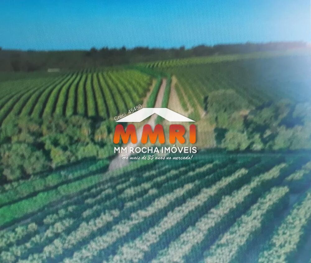 Fazenda, 365 m² - Foto 3