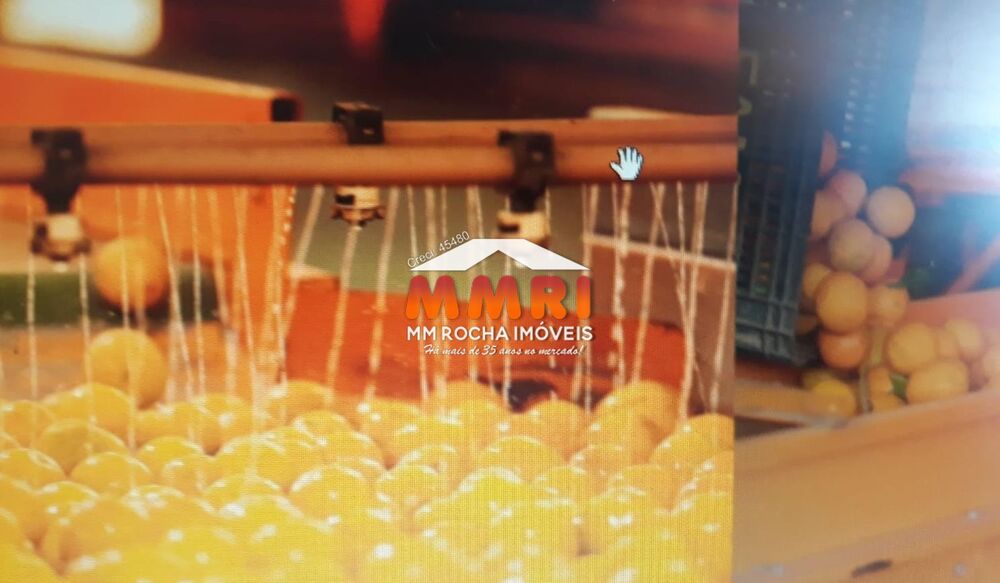 Fazenda, 365 m² - Foto 4