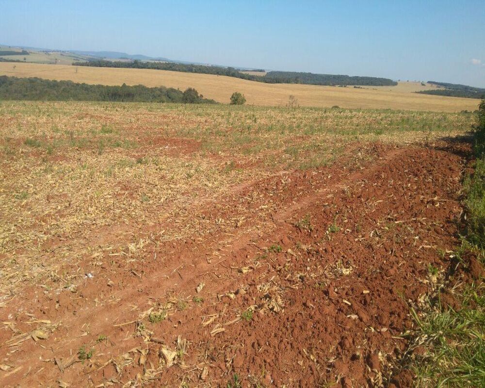 Fazenda à venda com 1 quarto, 623m² - Foto 3