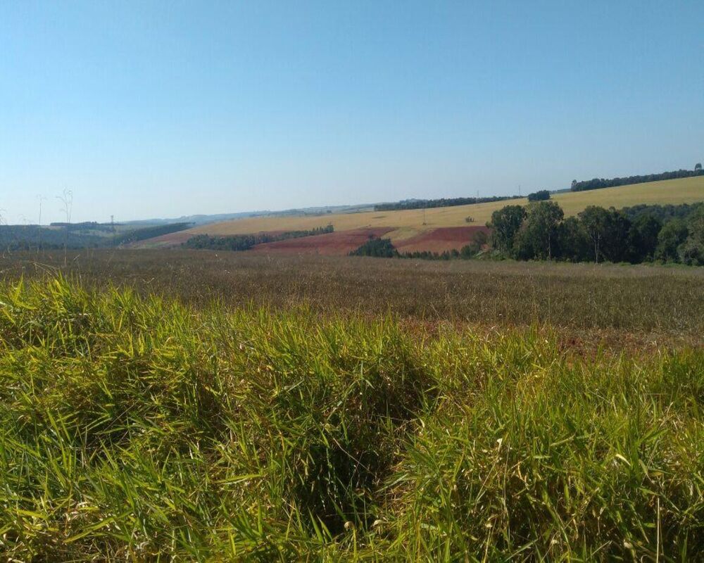 Fazenda à venda com 1 quarto, 623m² - Foto 1