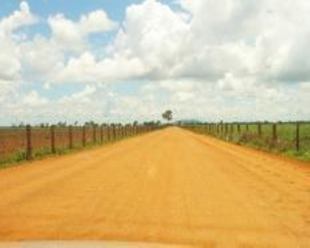 Fazenda à venda com 1 quarto, 11829m² - Foto 16