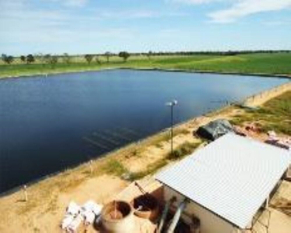 Fazenda à venda com 1 quarto, 11829m² - Foto 17