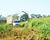 Fazenda-Sítio-Chácara, 1 hectares - Foto 22