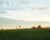Fazenda-Sítio-Chácara, 1 hectares - Foto 21