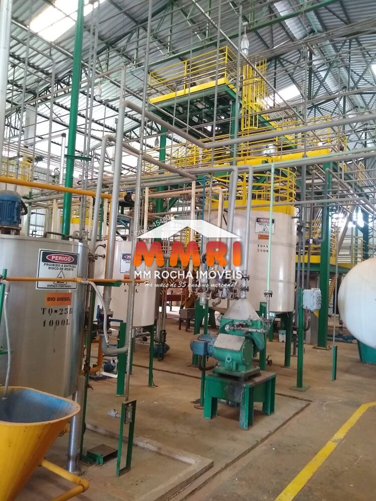Fazenda - Foto 10