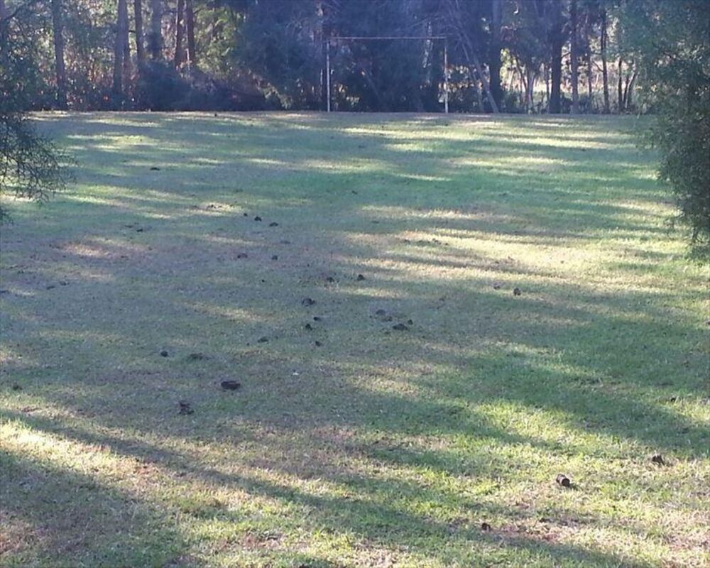 Sítio, 4 quartos, 3 hectares - Foto 22