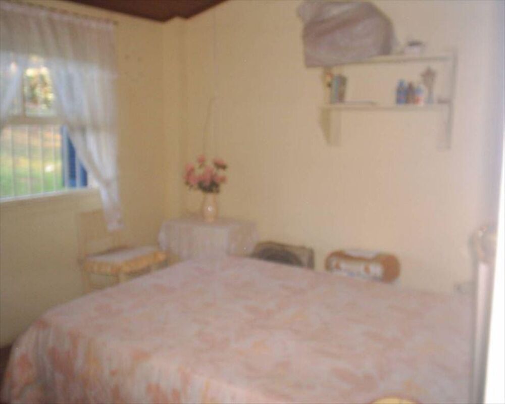 Sítio, 4 quartos, 3 hectares - Foto 30