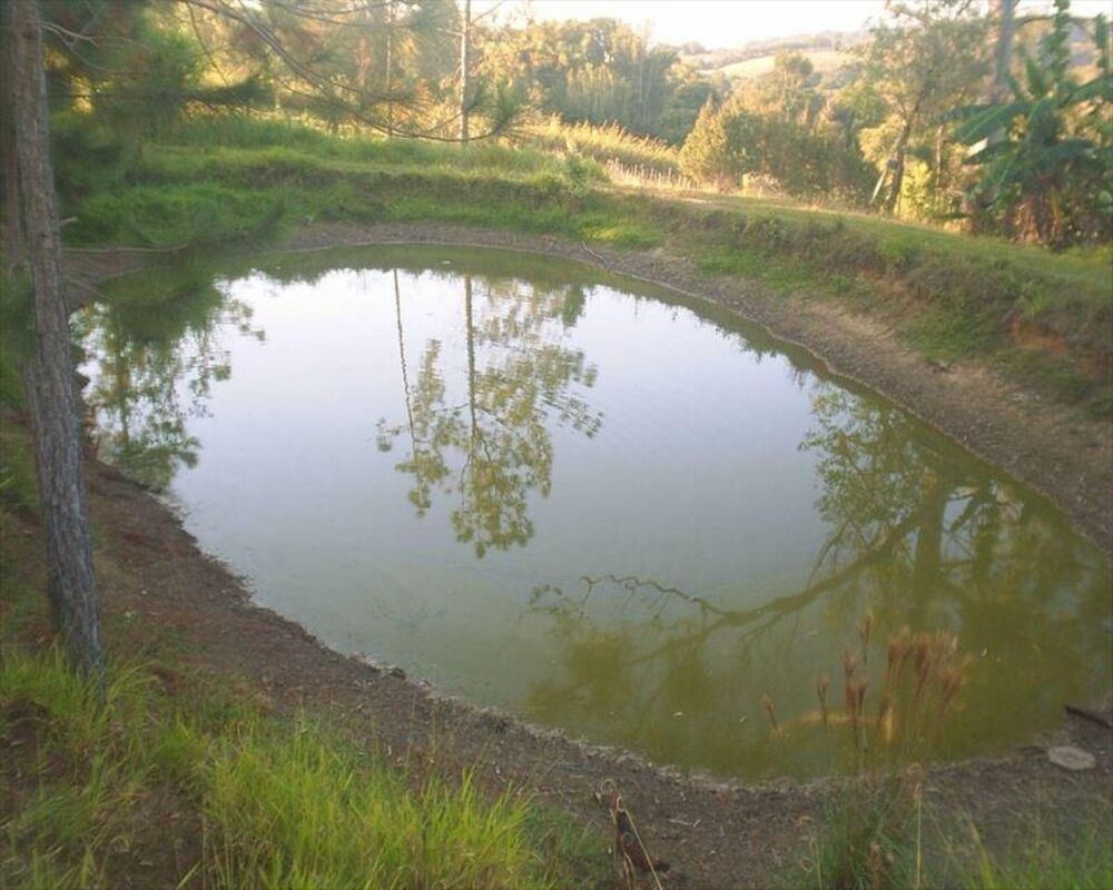 Sítio, 4 quartos, 3 hectares - Foto 36