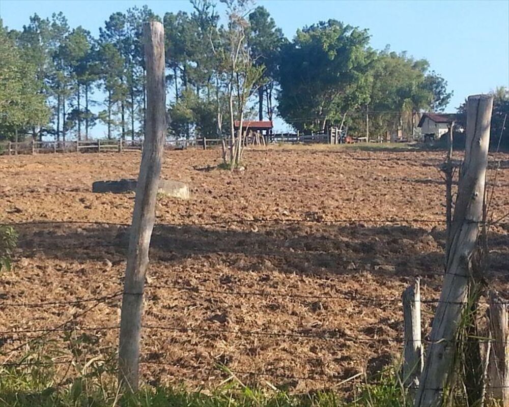 Sítio, 4 quartos, 3 hectares - Foto 26