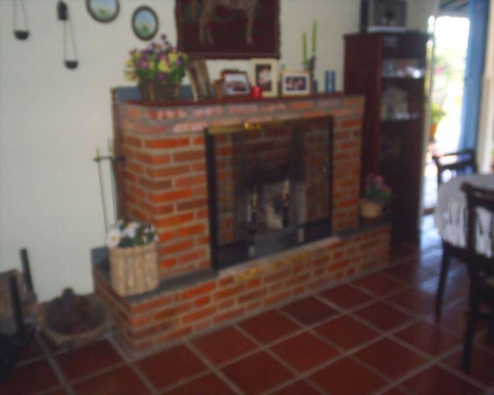 Sítio, 4 quartos, 3 hectares - Foto 31