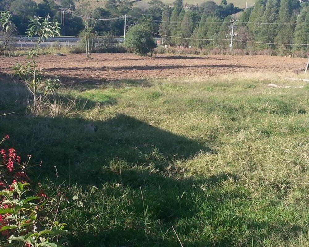 Sítio, 4 quartos, 3 hectares - Foto 11