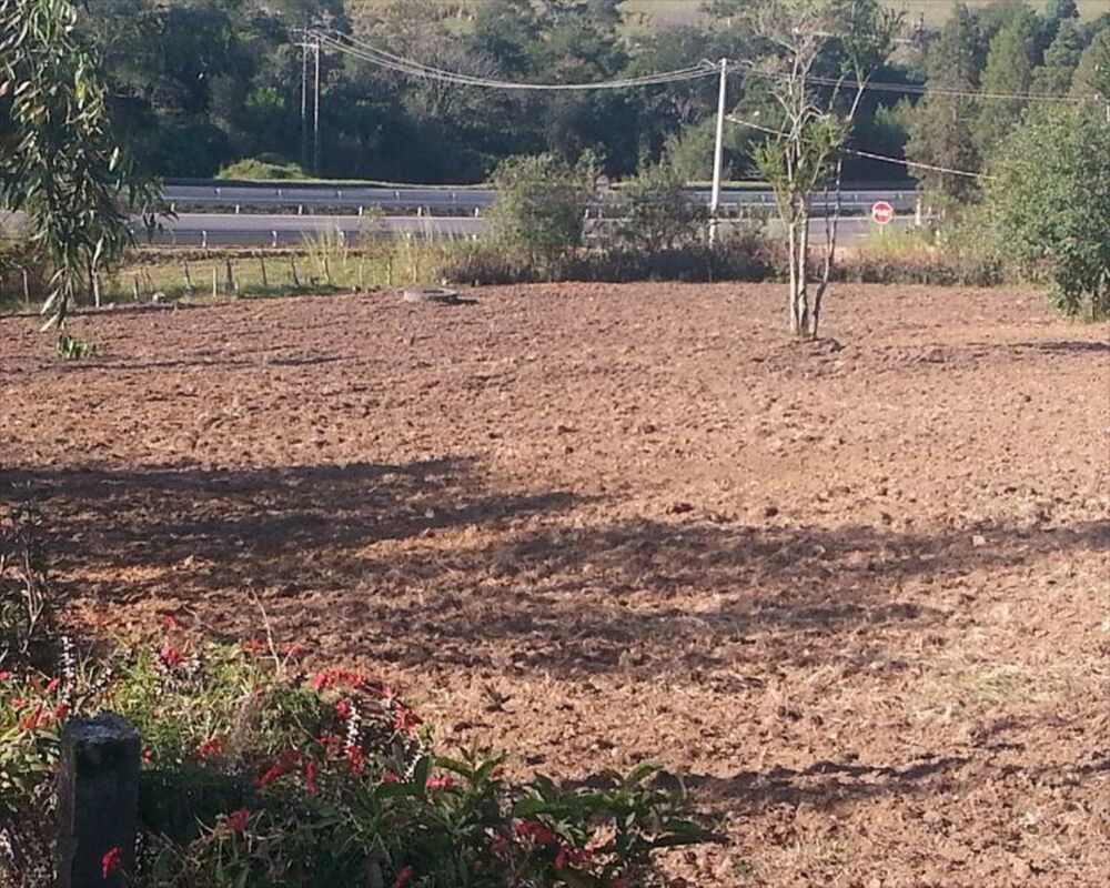 Sítio, 4 quartos, 3 hectares - Foto 8