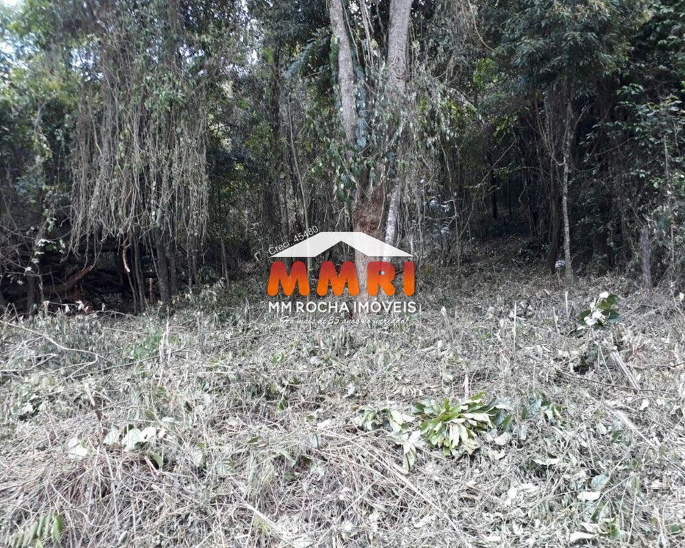 Terreno, 1000 m² - Foto 6