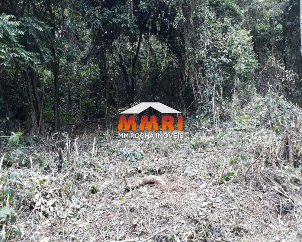 Terreno, 1000 m² - Foto 5