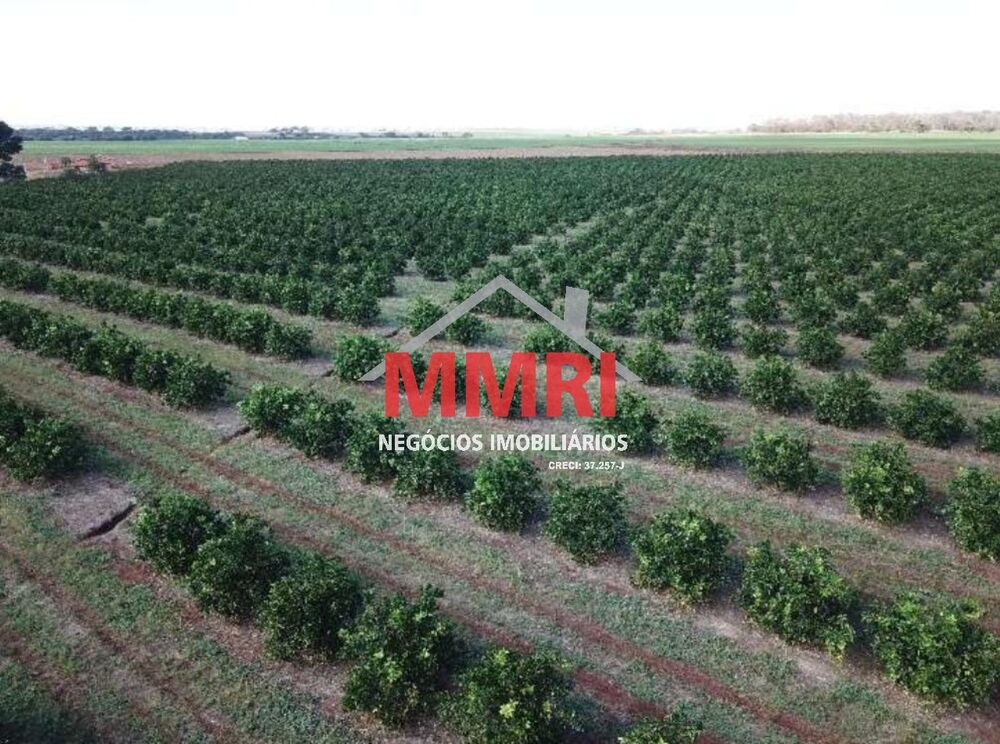 Fazenda, 158 m² - Foto 33