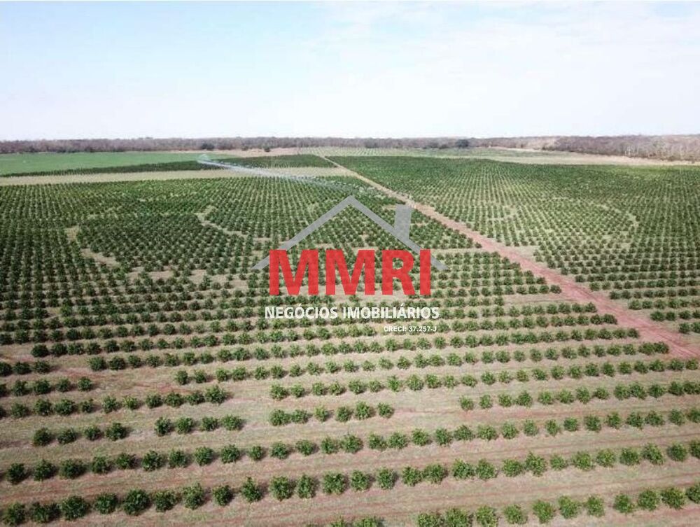 Fazenda, 158 m² - Foto 6