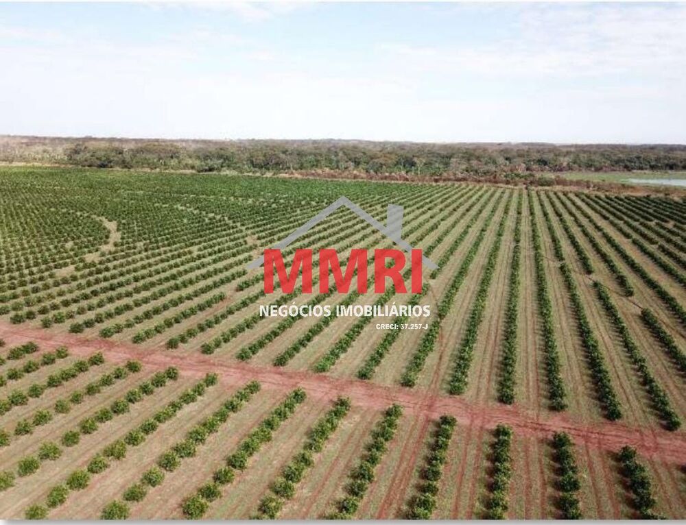 Fazenda, 158 m² - Foto 9