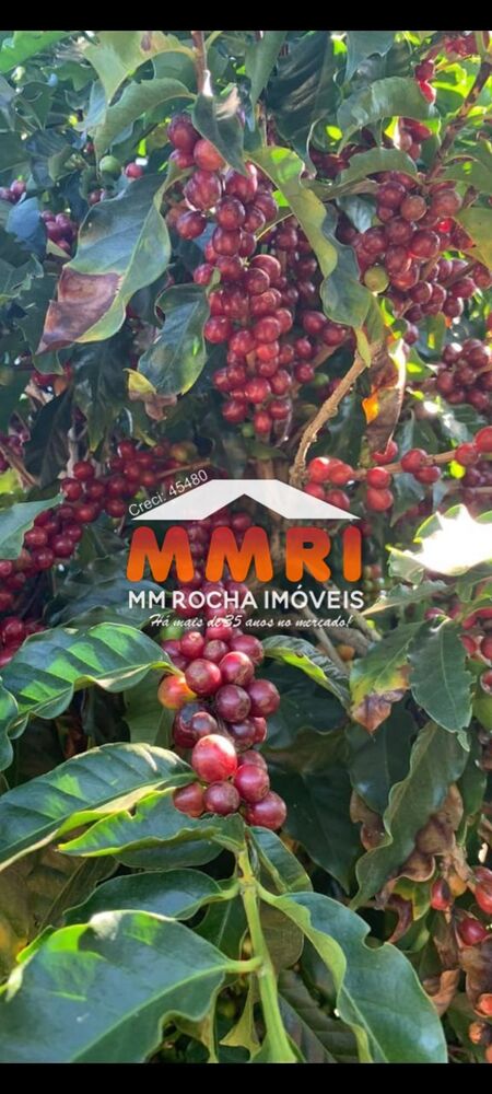 Fazenda, 1333 m² - Foto 8