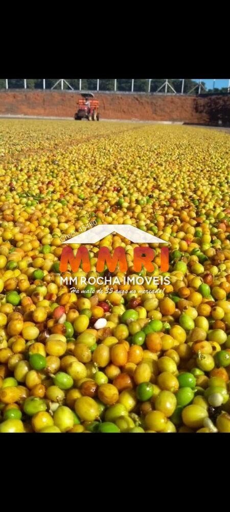 Fazenda, 1333 m² - Foto 5