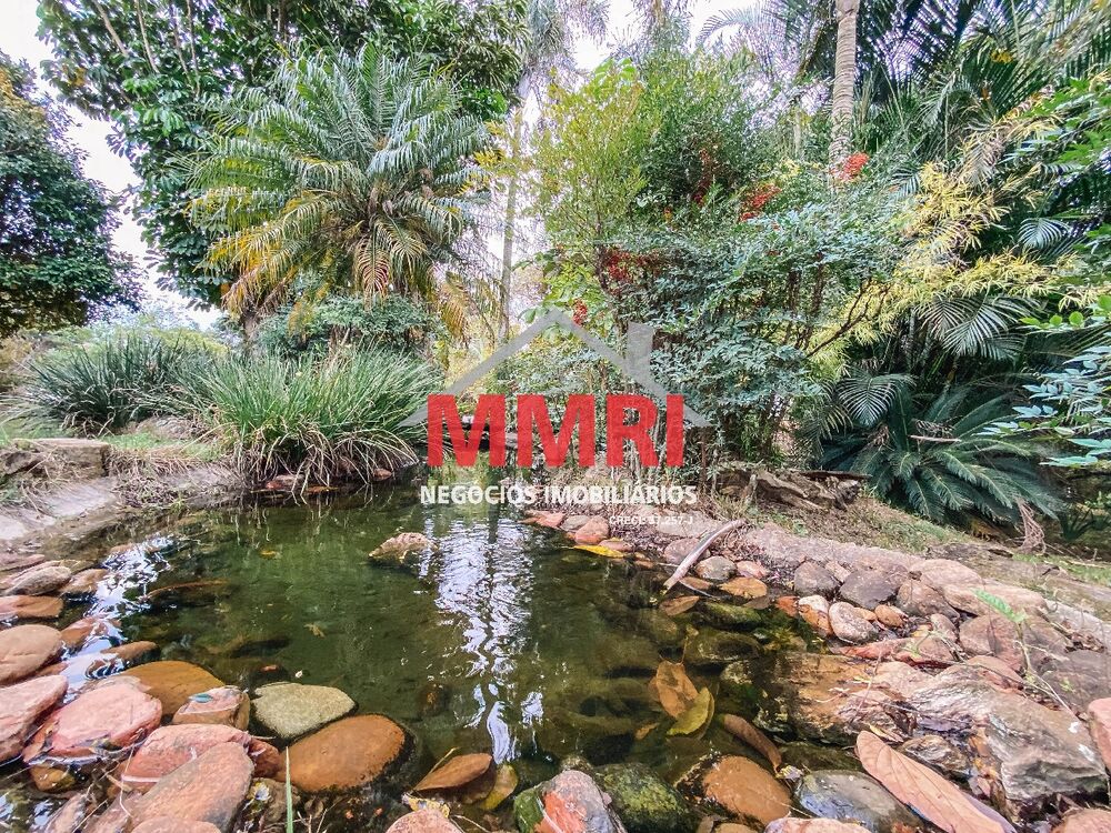 Chácara, 3 quartos, 6000 m² - Foto 4