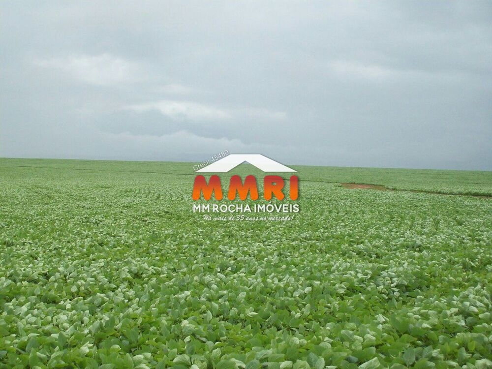 Fazenda, 6 hectares - Foto 1