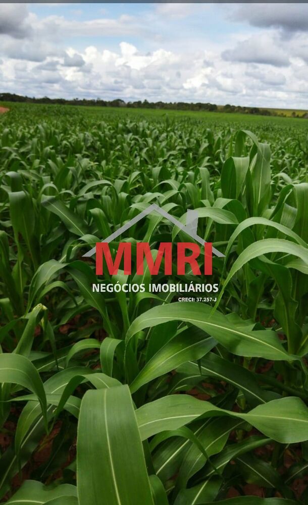 Fazenda-Sítio-Chácara, 424 m² - Foto 13