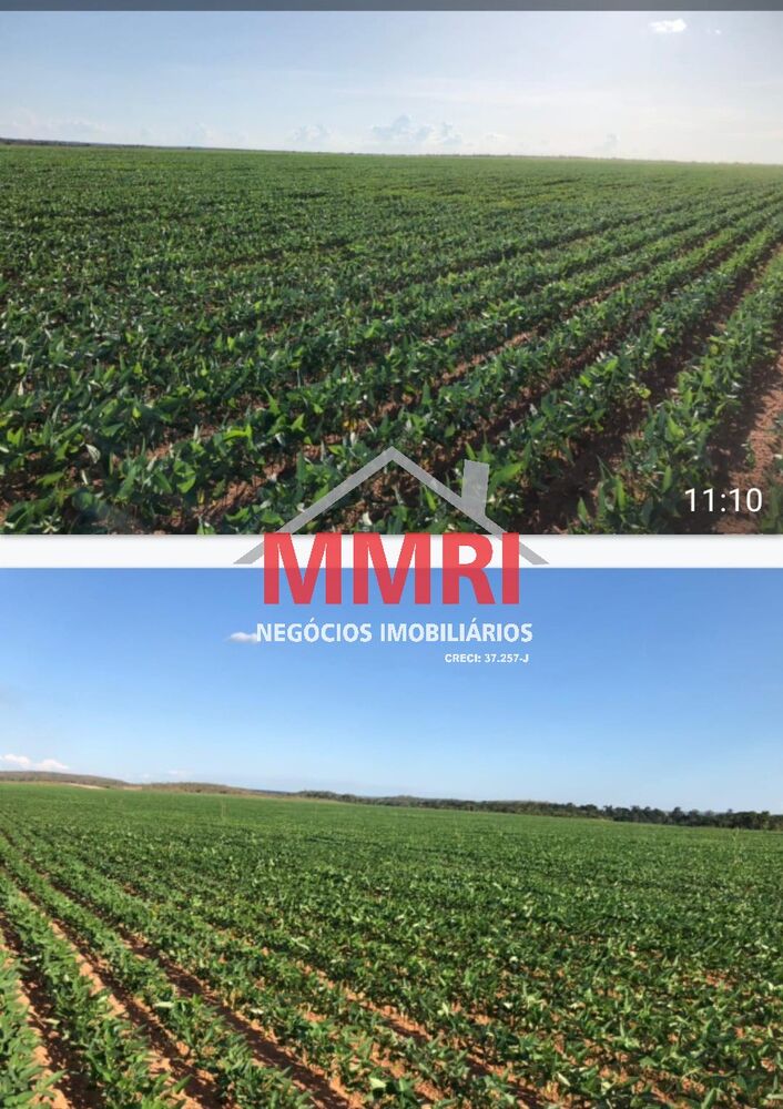 Fazenda-Sítio-Chácara, 424 m² - Foto 12