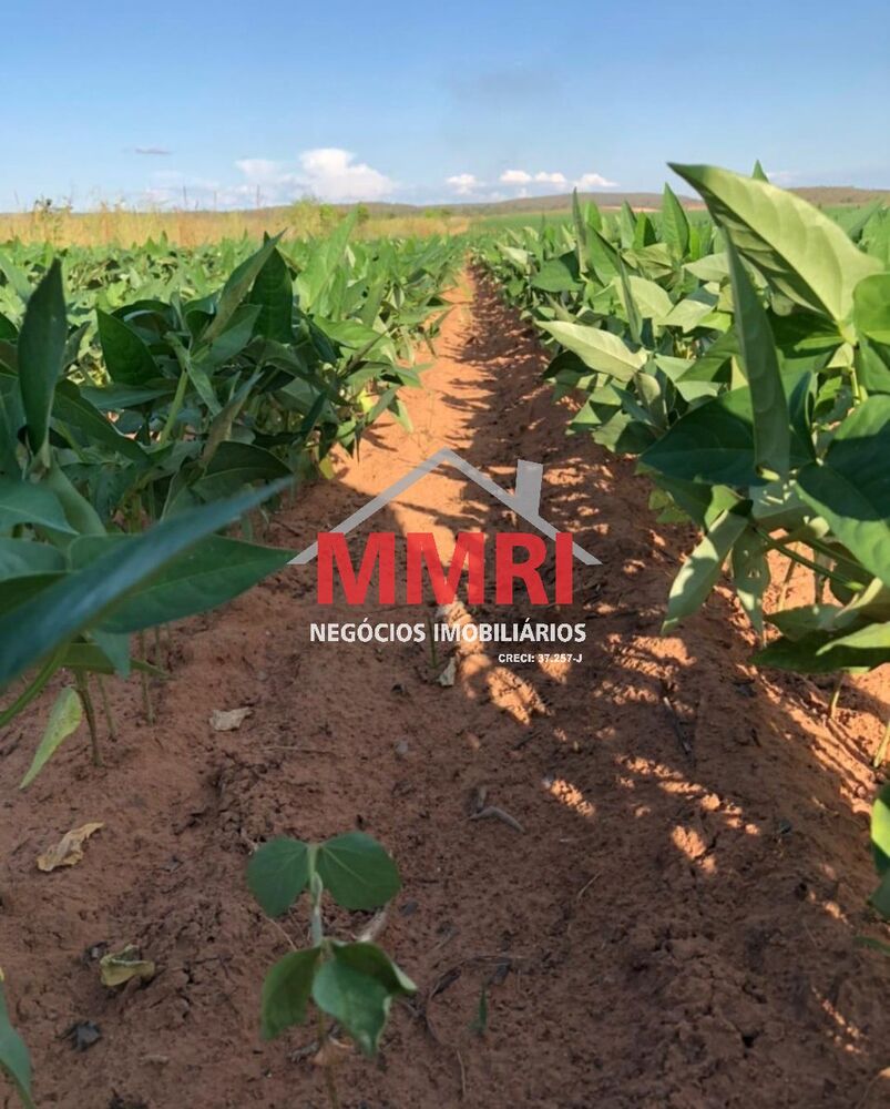 Fazenda-Sítio-Chácara, 424 m² - Foto 11